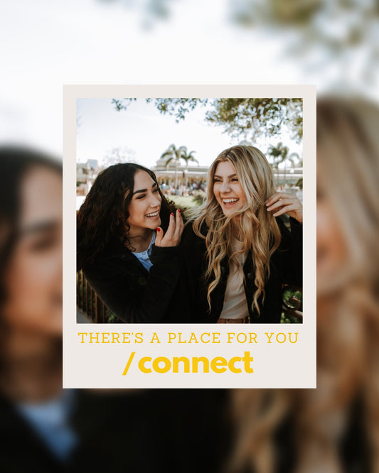 Social Media Templates: Modern + Bright