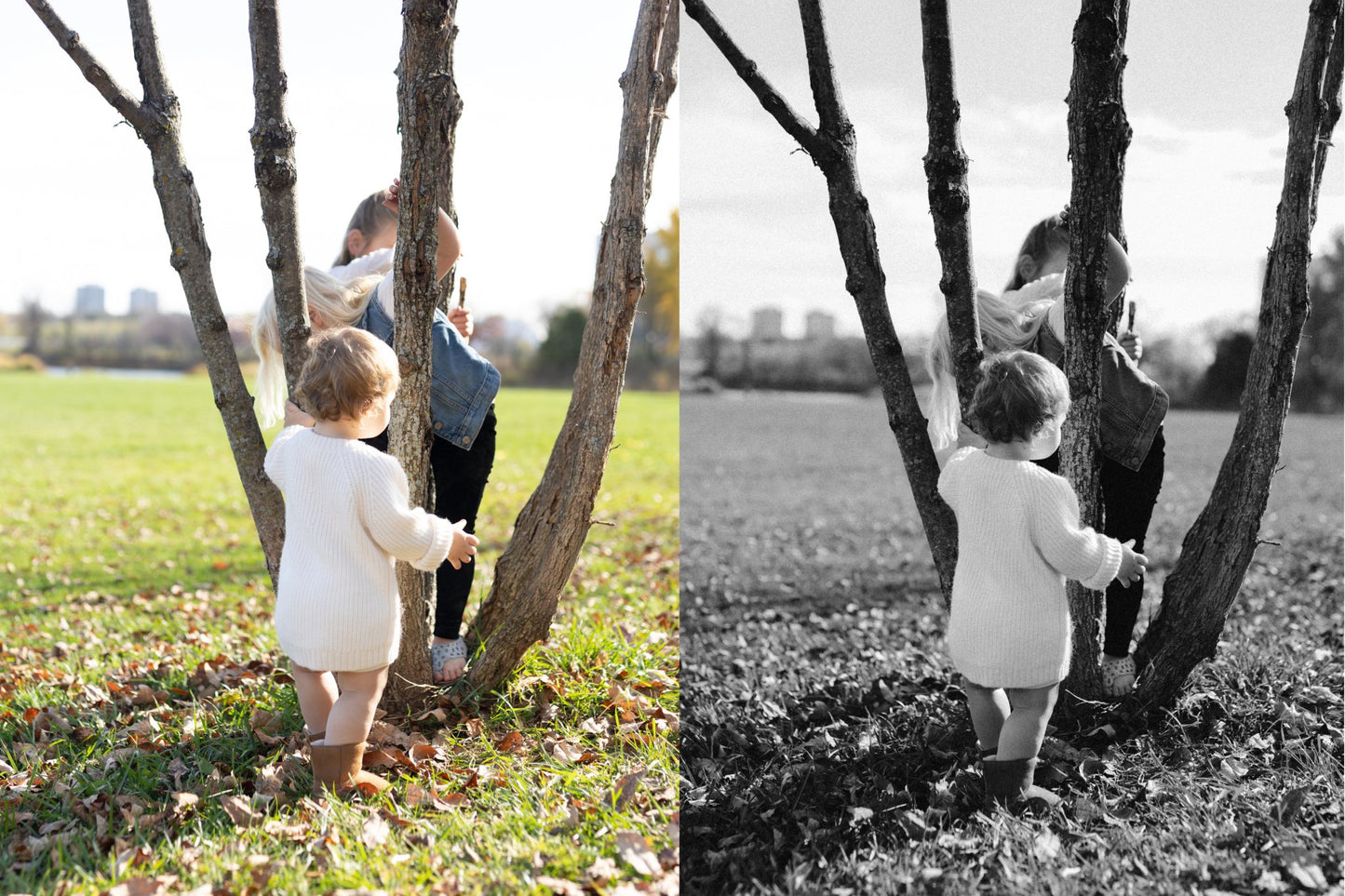 Adobe Lightroom Presets: Moody + Warm (Toolkit Included)